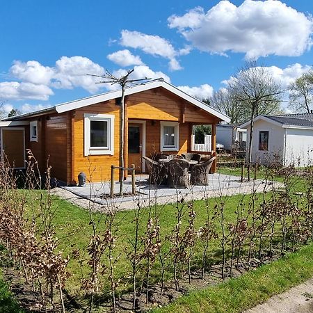 Nieuw - Luxe Blokhut Chalet In Bosrijke Omgeving Anloo Exterior foto