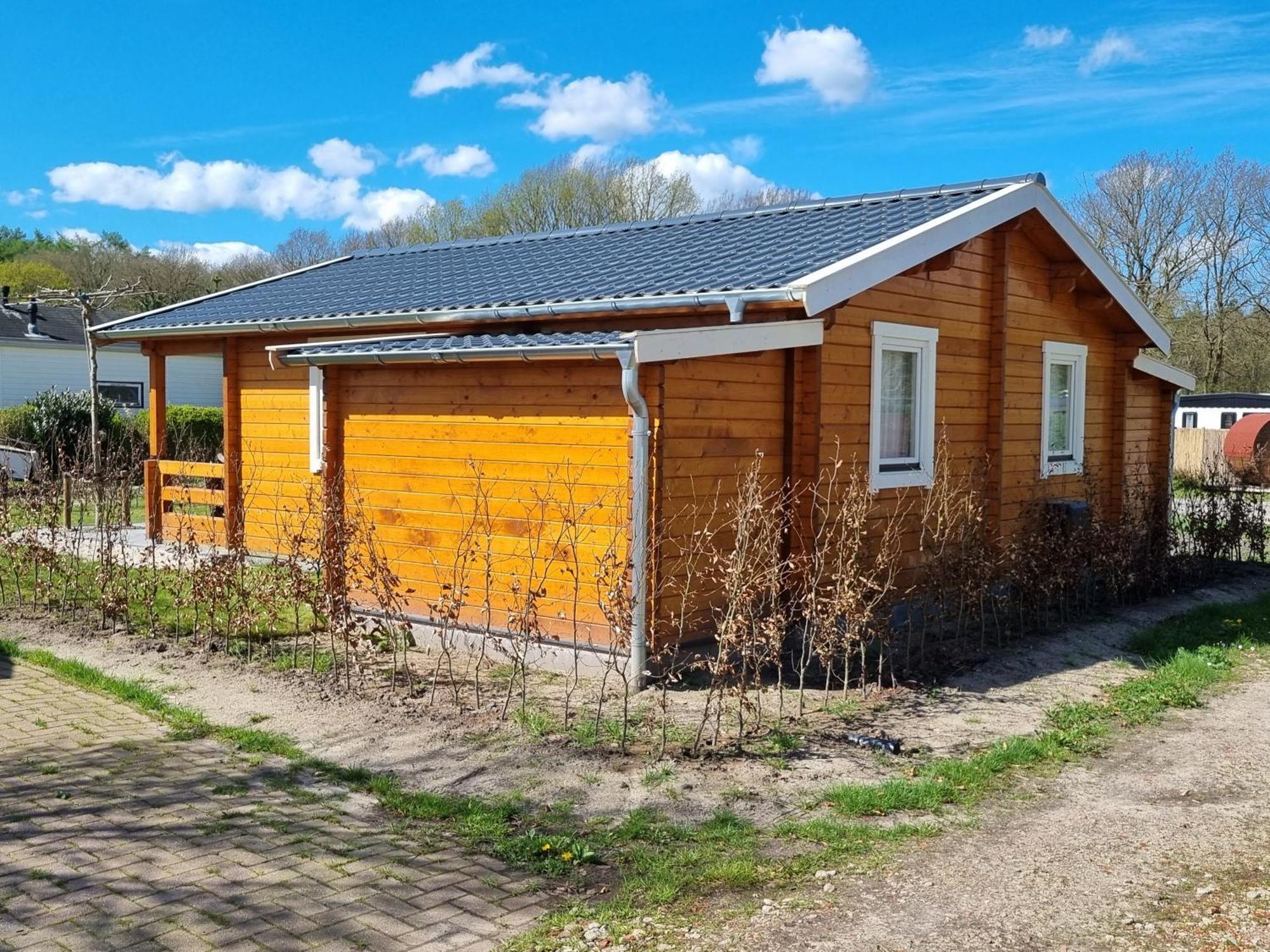 Nieuw - Luxe Blokhut Chalet In Bosrijke Omgeving Anloo Exterior foto